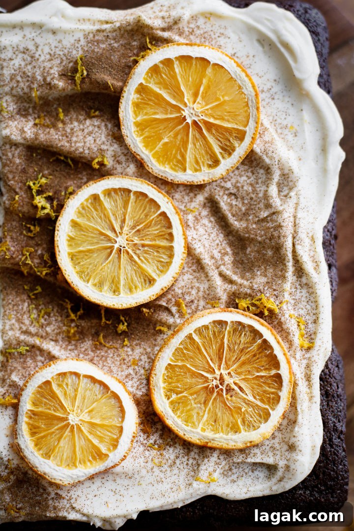 Chocolate Gingerbread Cake Recipe — Moist & Rich Flavor 6 overhead photo of how to garnish a gingerbread cake