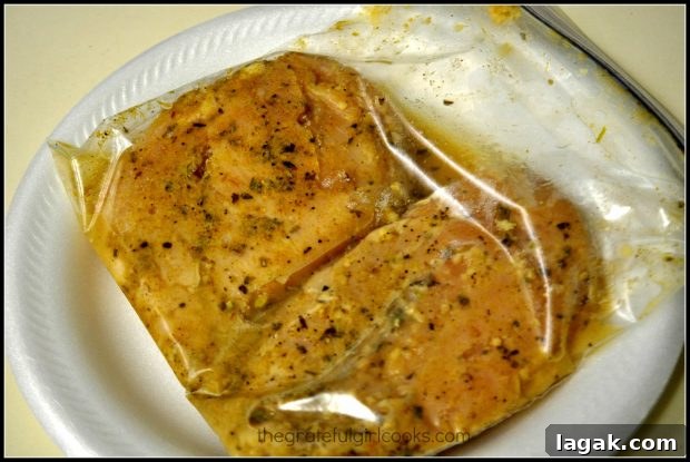 Marinated, Pan-Seared Mexican Chicken / The Grateful Girl Cooks! Chicken breasts are marinated before cooking.