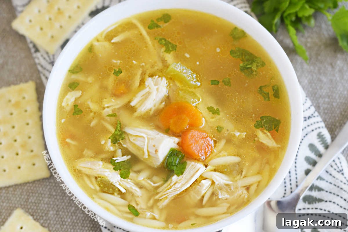 Instant Pot Rotisserie Chicken Soup Recipe for Comforting Meals 2 bowl of instant pot rotisserie chicken soup and crackers