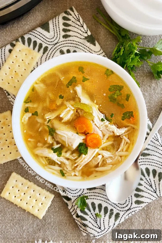 Instant Pot Rotisserie Chicken Soup Recipe for Comforting Meals 7 bowl of homemade pressure cooker chicken soup with carrots and parsley