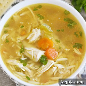 Instant Pot Rotisserie Chicken Soup Recipe for Comforting Meals 8 bowl of homemade instant pot rotisserie chicken soup and crackers