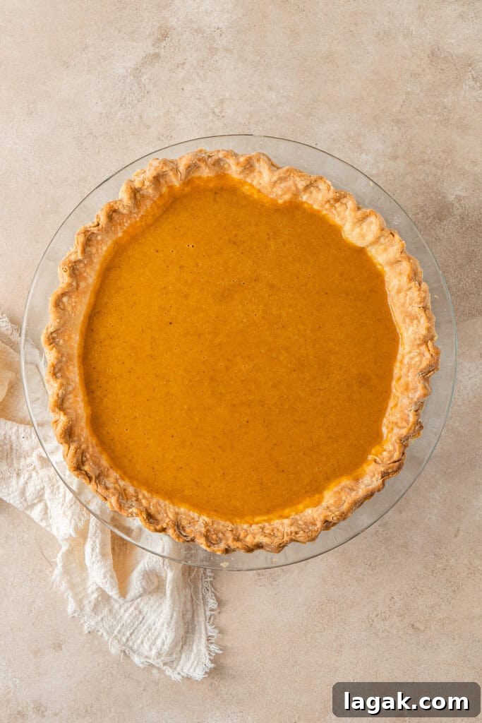 Creamy Dairy-Free Pumpkin Pie Recipe for Fall Celebrations 8 Adding the filling to the pie crust.