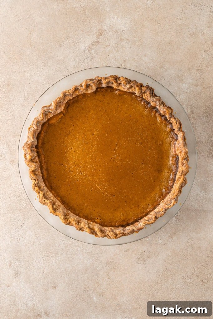 Creamy Dairy-Free Pumpkin Pie Recipe for Fall Celebrations 9 The cooked pumpkin pie in the dish.