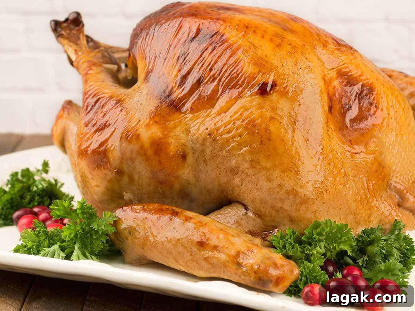 Buttermilk and Honey Brined Roast Turkey Recipe 3 An uncarved buttermilk and honey brined turkey with crisp, golden brown skin and a garnish of parsley and fresh cranberries.
