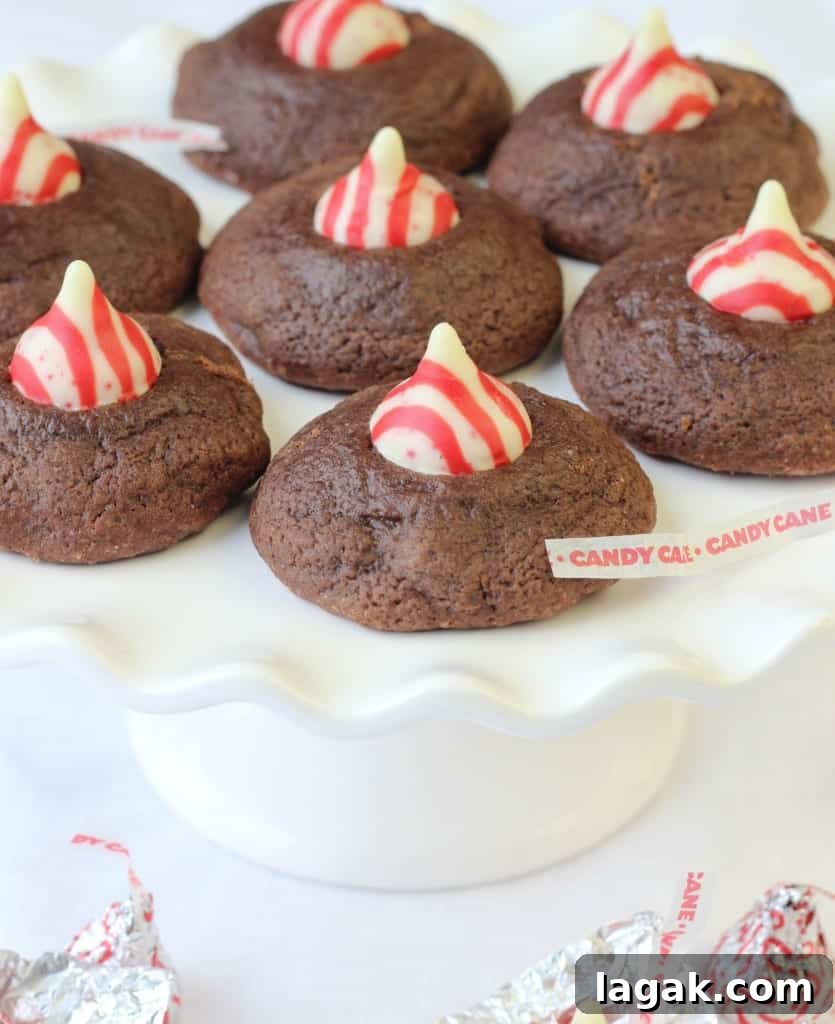 Double Chocolate Peppermint Kiss Cookies