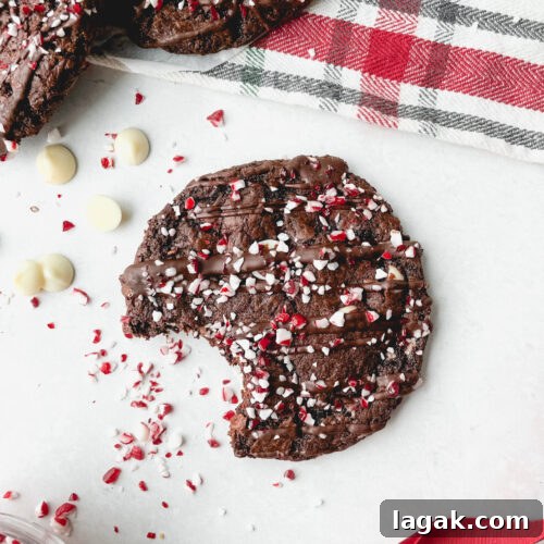 Chocolate Candy Cane Crunch Cookies Recipe for Holidays 3 img 19 6