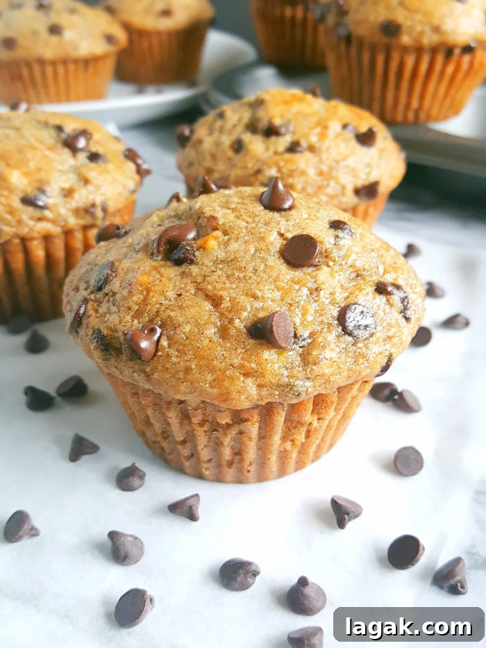 Greek Yogurt Chocolate Chip Banana Muffins — Soft & Moist 2 Healthy Greek Yogurt Chocolate Chip Banana Muffins - No butter, sugar, or oil. Moist, low fat, full of fiber, and the greek yogurt adds protein. Made with whole wheat flour, naturally sweetened and studded with chocolate chips for a little indulgence.