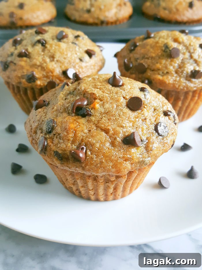 Greek Yogurt Chocolate Chip Banana Muffins — Soft & Moist 3 Healthy Greek Yogurt Chocolate Chip Banana Muffins - No butter, sugar, or oil. Moist, low fat, full of fiber, and the greek yogurt adds protein. Made with whole wheat flour, naturally sweetened and studded with chocolate chips for a little indulgence.