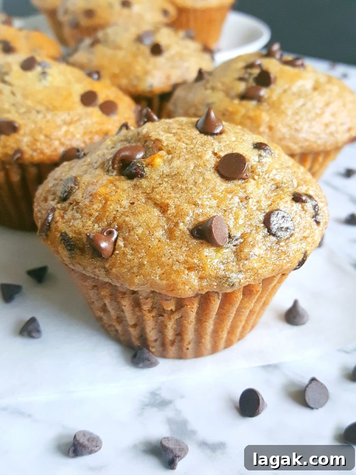 Greek Yogurt Chocolate Chip Banana Muffins — Soft & Moist 4 Healthy Greek Yogurt Chocolate Chip Banana Muffins - No butter, sugar, or oil. Moist, low fat, full of fiber, and the greek yogurt adds protein. Made with whole wheat flour, naturally sweetened and studded with chocolate chips for a little indulgence.
