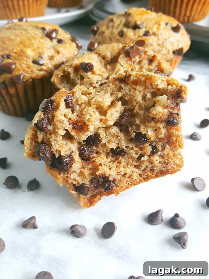 Greek Yogurt Chocolate Chip Banana Muffins — Soft & Moist 5 Healthy Greek Yogurt Chocolate Chip Banana Muffins - No butter, sugar, or oil. Moist, low fat, full of fiber, and the greek yogurt adds protein. Made with whole wheat flour, naturally sweetened and studded with chocolate chips for a little indulgence.