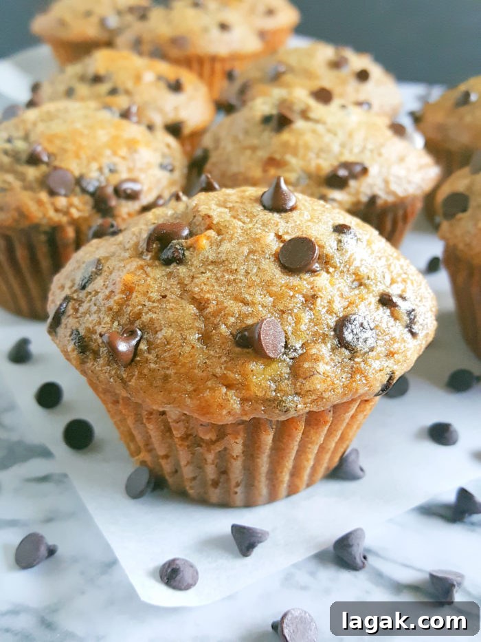 Greek Yogurt Chocolate Chip Banana Muffins — Soft & Moist 6 Healthy Greek Yogurt Chocolate Chip Banana Muffins - No butter, sugar, or oil. Moist, low fat, full of fiber, and the greek yogurt adds protein. Made with whole wheat flour, naturally sweetened and studded with chocolate chips for a little indulgence.