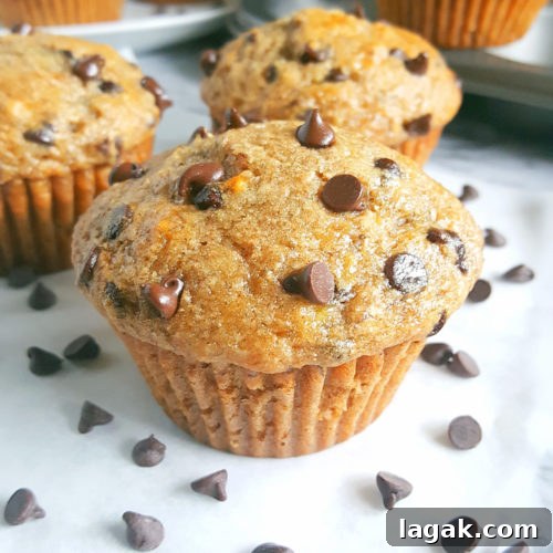 Healthy Greek Yogurt Chocolate Chip Banana Muffins - No butter, sugar, or oil. Moist, low fat, full of fiber, and the greek yogurt adds protein. Made with whole wheat flour, naturally sweetened and studded with chocolate chips for a little indulgence.