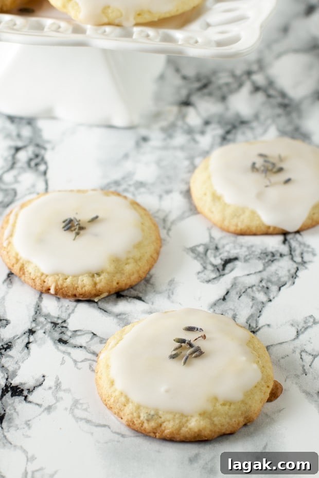Grandma’s Lavender Cookie Recipe — Soft Floral Shortbread 2 Grandma's Lavender Cookies | cakenknife.com