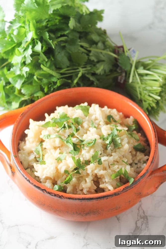 Cilantro-Lime Brown Rice