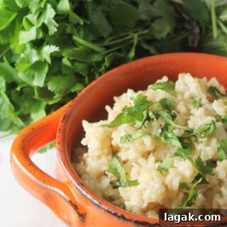 Cilantro-Lime Brown Rice