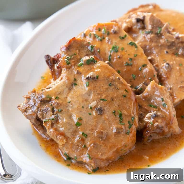 crock pot pork chops in sauce on a white oval platter.