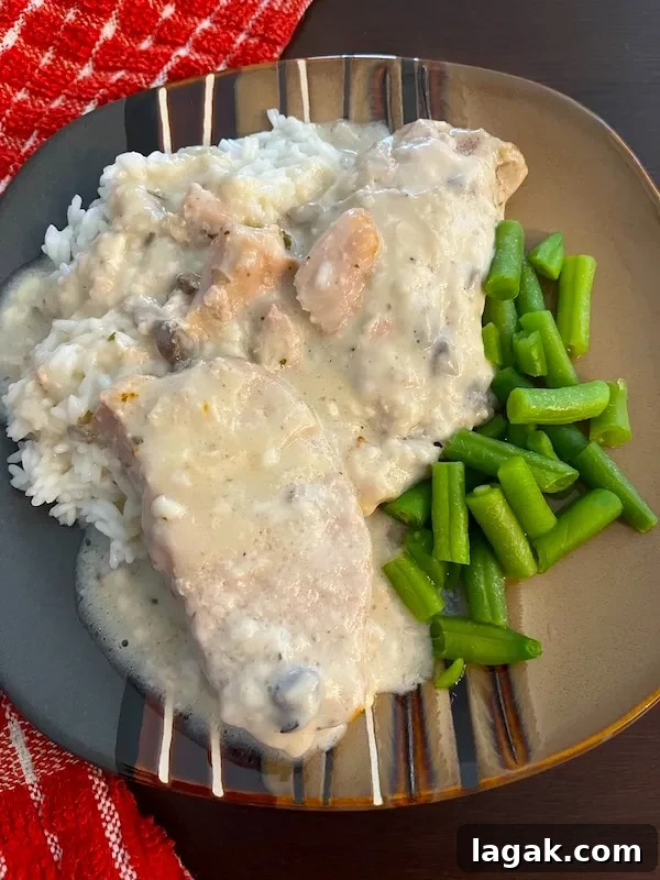 2 pork chops in sauce over rice and green beans.