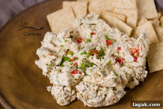 Creamy Chicken Pimento Spread - A creamy delicious topping for crackers, perfect for all your parties, like the big game or any holiday party! Creamy Chicken Pimento Spread - A creamy delicious topping for crackers, perfect for all your parties, like the big game or any holiday party!