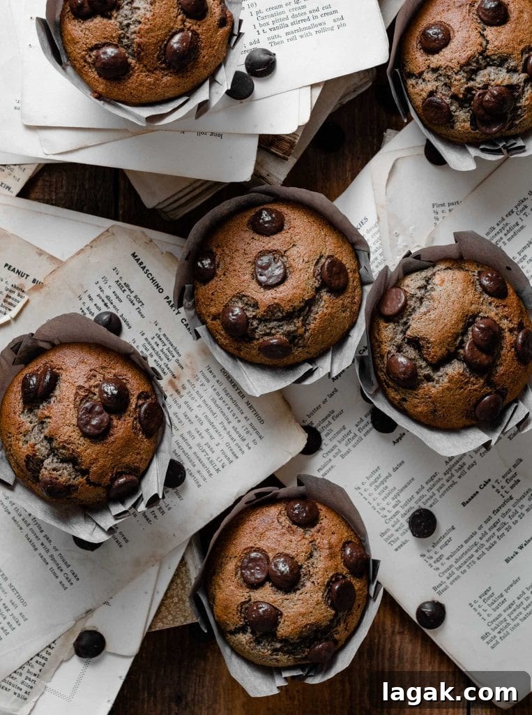 Banana Chocolate Chip Muffins Recipe — Moist Banana Muffins with Chocolate Chips 2 Chocolate chip muffins on recipe pages.