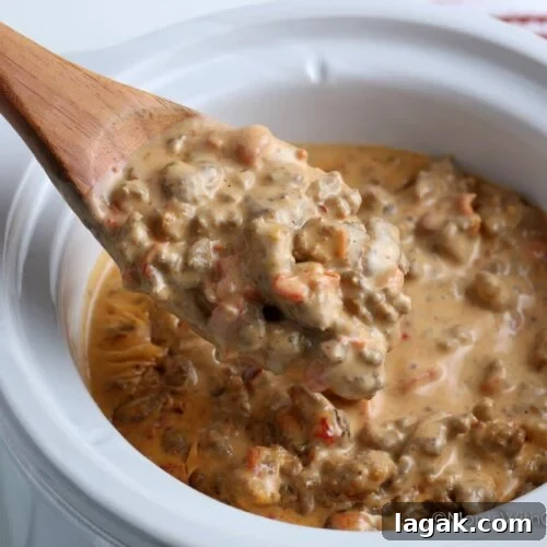4-Ingredient Crockpot Rotel Dip Recipe for Game Day 8 img 26431 7