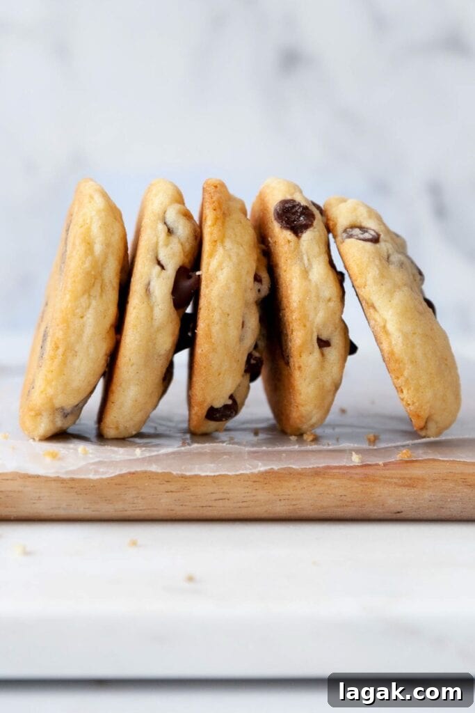 Classic Chocolate Chip Cookies Made Without Brown Sugar 2 thick and chewy chocolate chip cookies without brown sugar