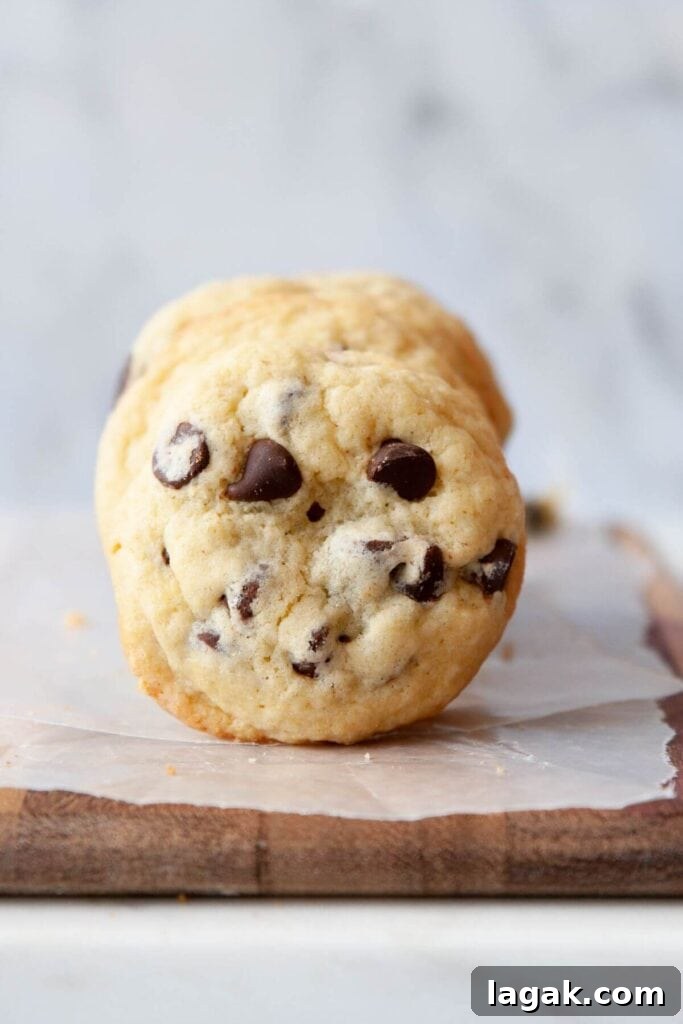 Classic Chocolate Chip Cookies Made Without Brown Sugar 11 classic chewy chocolate chip cookies without brown sugar