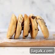 Classic Chocolate Chip Cookies Made Without Brown Sugar 12 chewy classic chocolate chip cookies without brown sugar