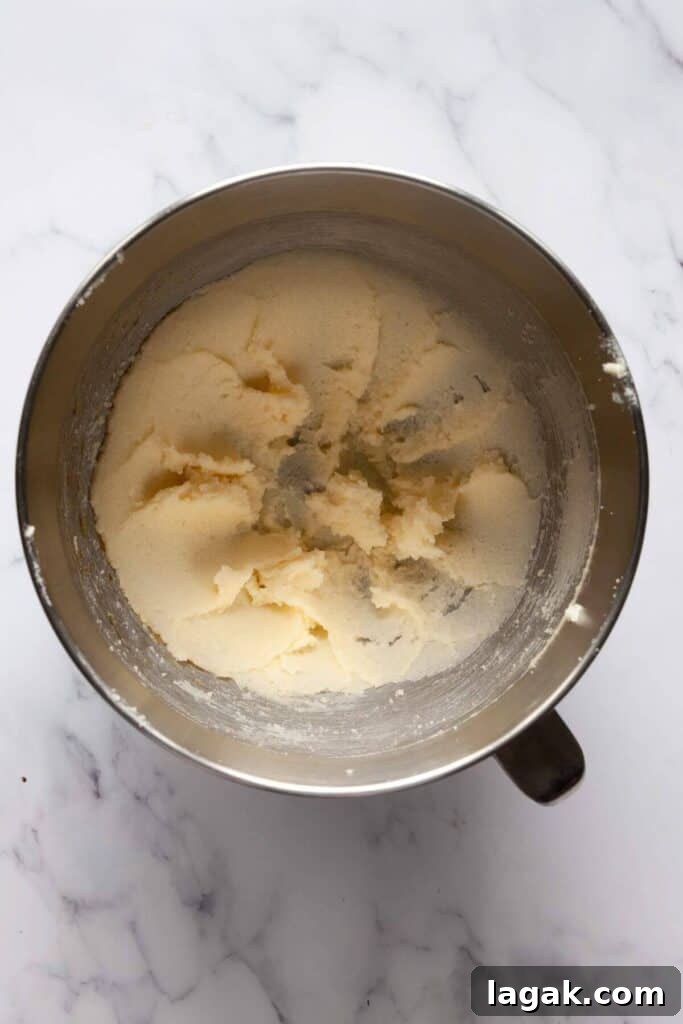 Classic Chocolate Chip Cookies Made Without Brown Sugar 5 how to beat butter and sugar together in a stand mixer