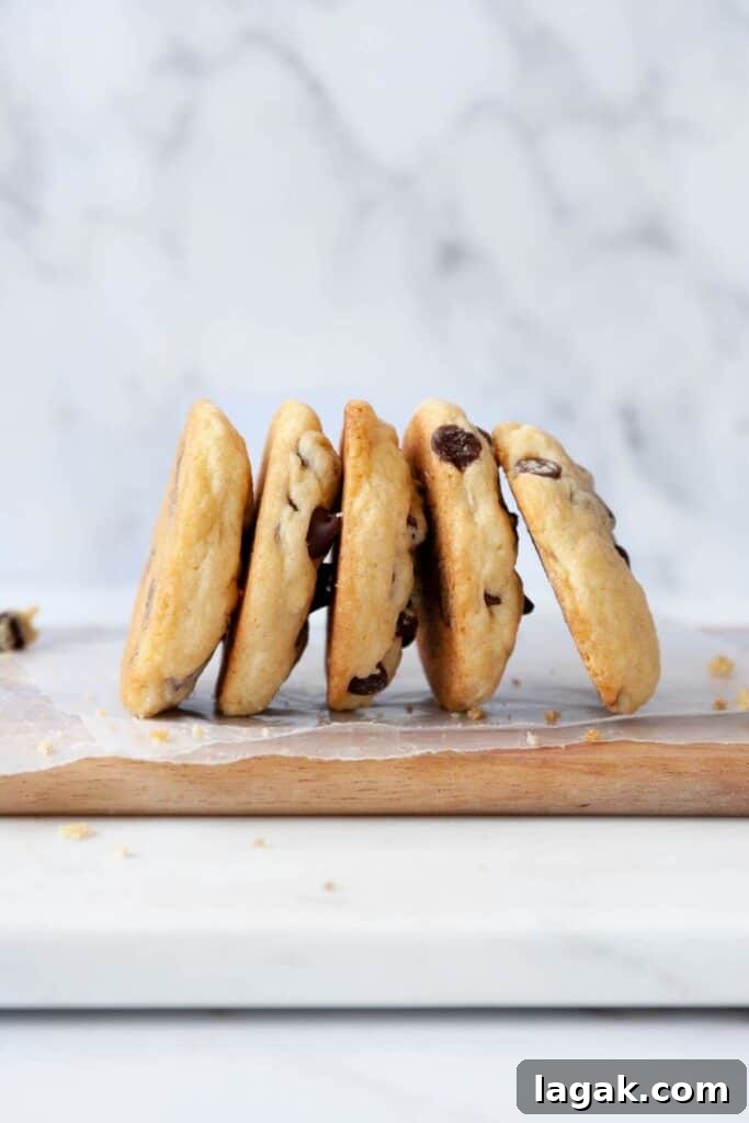 Classic Chocolate Chip Cookies Made Without Brown Sugar 10 chewy chocolate chip cookies without brown sugar