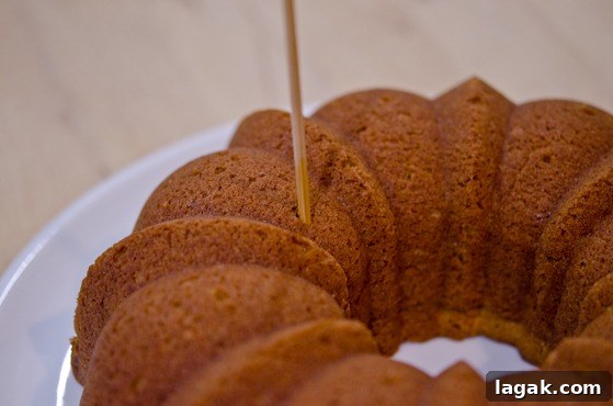 tutorial_-10 A toothpick poking orange cake.
