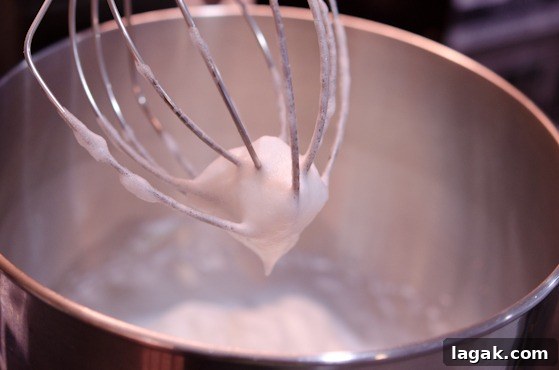 tutorial_-3 Whisk holding the stiff beaten egg whites.