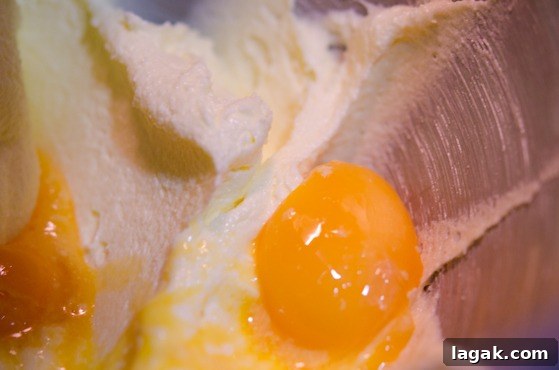 tutorial_-4 Egg yolks added to bean butter mixture.