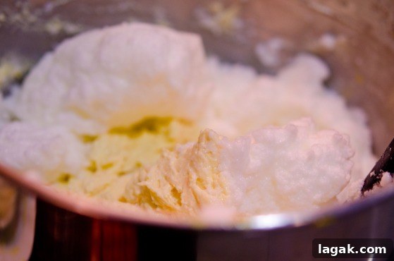 tutorial_-7 Beaten egg whites are folded into orange cake batter.
