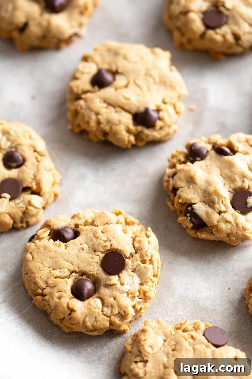 Baked Vegan Peanut Butter Oatmeal Chocolate Chip Cookies