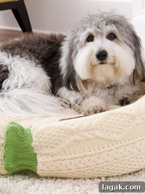 25+ Cozy Sweater Craft Ideas for Stylish DIY Projects 16 Homemade Dog Bed