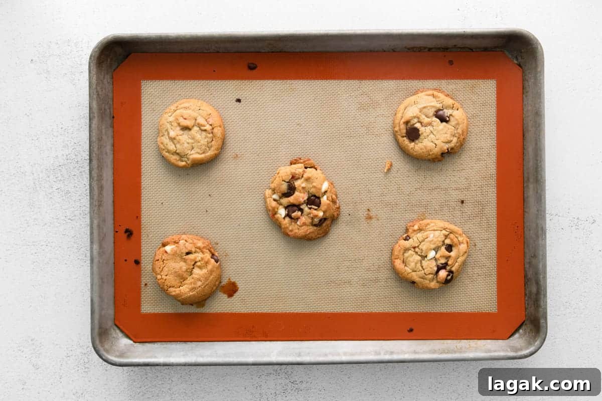 Peppermint Chocolate Chip Cookie Recipe: Crisp, Minty Holiday Cookies 8 baked chocolate chip peppermint cookies on a baking sheet.