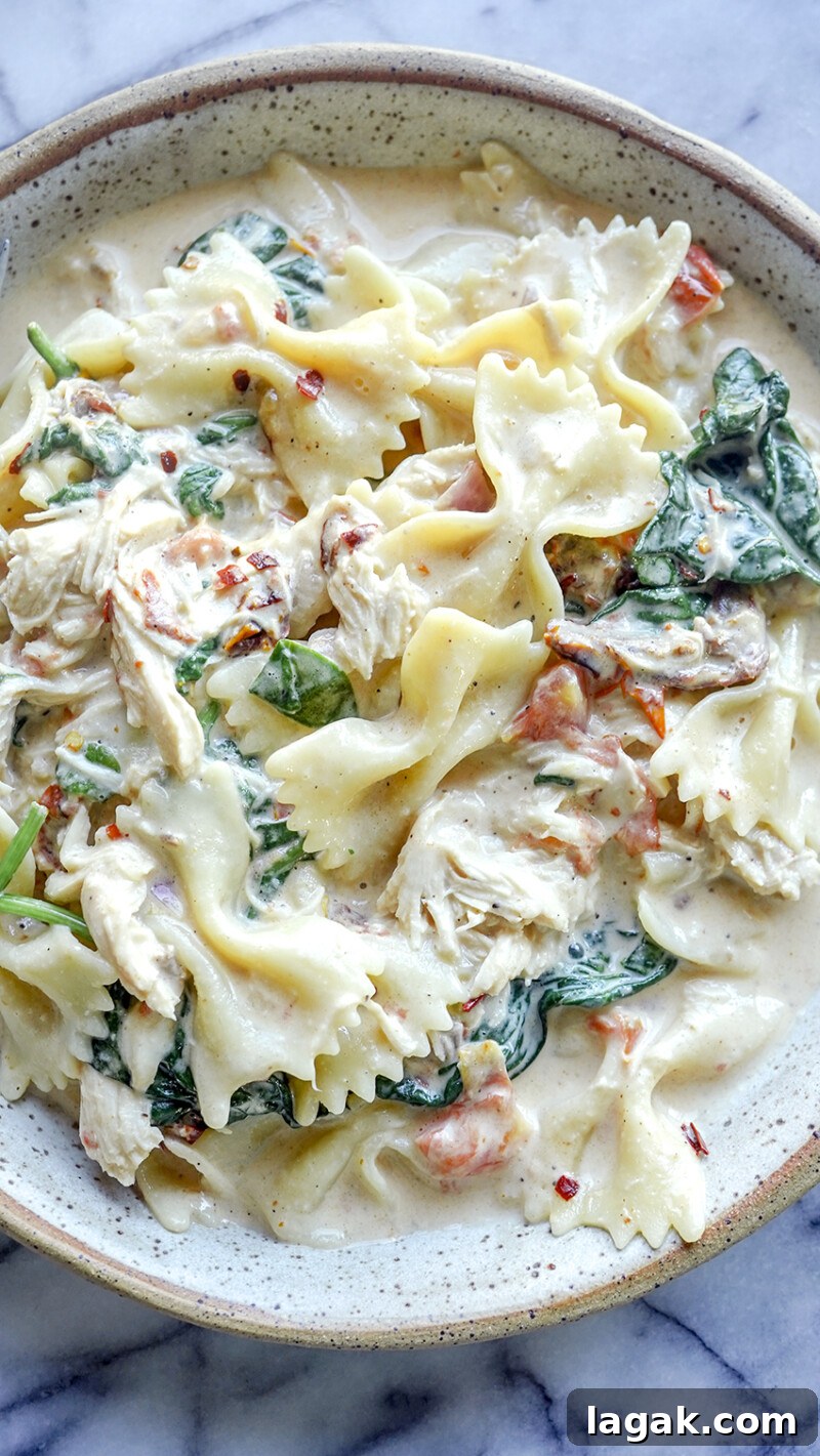 Creamy Velveeta One-Pot Chicken, Spinach & Tomato Pasta 2 creamy one pot chicken spinach tomato pasta