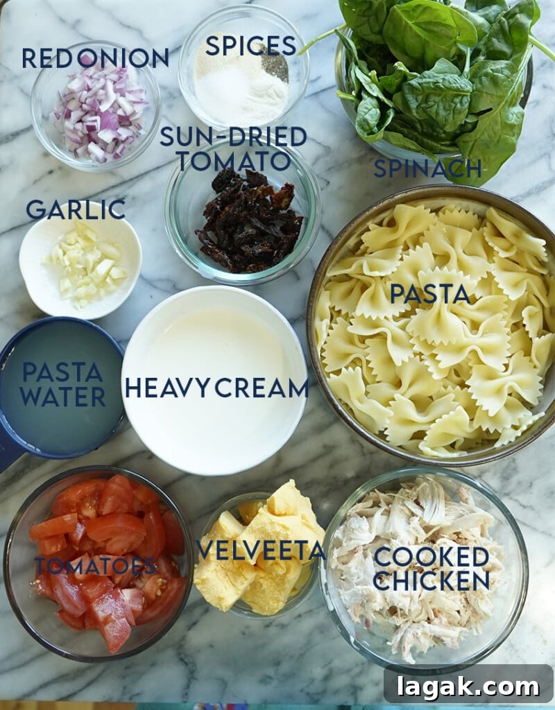 Creamy Velveeta One-Pot Chicken, Spinach & Tomato Pasta 3 One pot chicken spinach tomato pasta ingredients