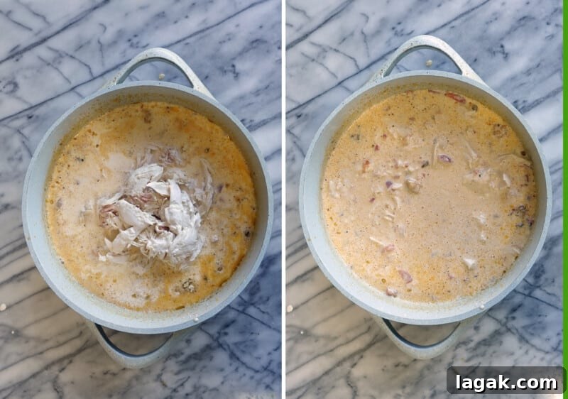Creamy Velveeta One-Pot Chicken, Spinach & Tomato Pasta 7 add the cooked chicken
