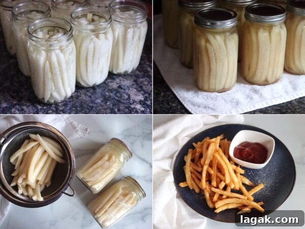 Dill Pickled Beets Recipe 12 Canning French Fries