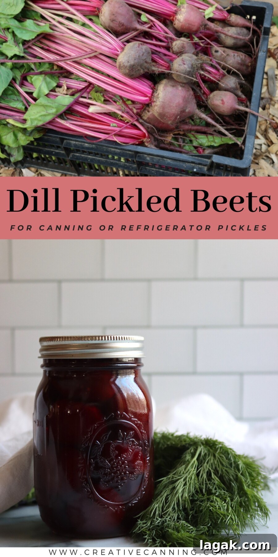 Dill Pickled Beets Recipe 14 Dill Pickled Beets Recipe