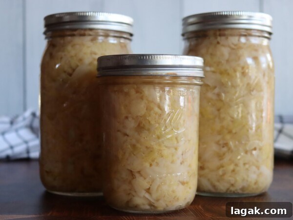 Dill Pickled Beets Recipe 9 Canning Sauerkraut