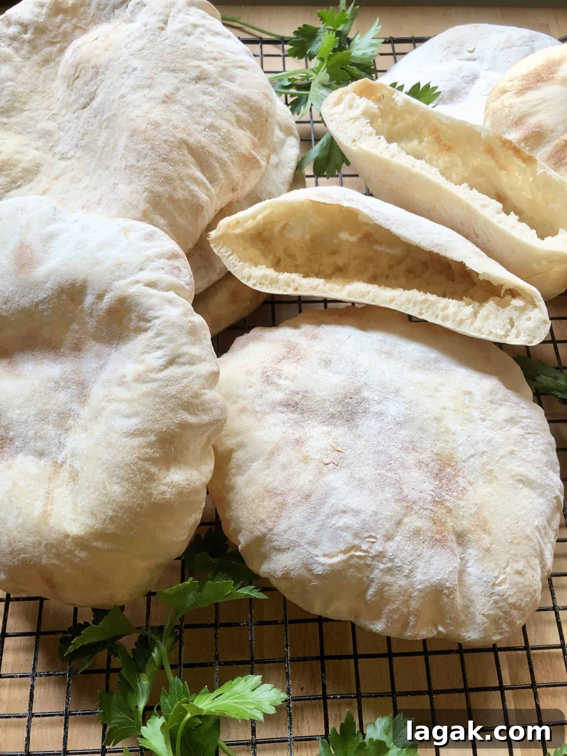 How to Make Soft, Fluffy Homemade Pita Bread in Your Oven 10 Fluffy Homemade Pita Bread