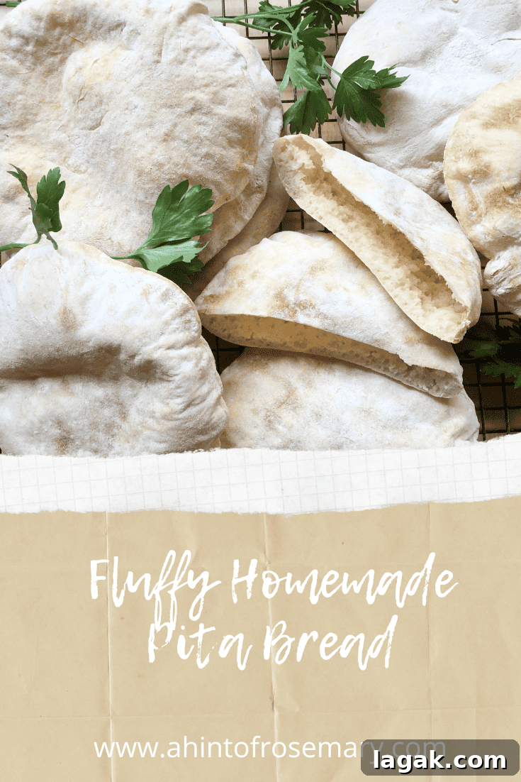 How to Make Soft, Fluffy Homemade Pita Bread in Your Oven 11 Fluffy Homemade Pita Bread