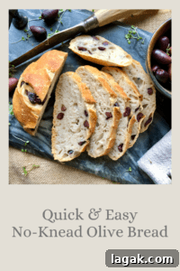 How to Make Soft, Fluffy Homemade Pita Bread in Your Oven 12 Quick & Easy No-Knead Olive Bread