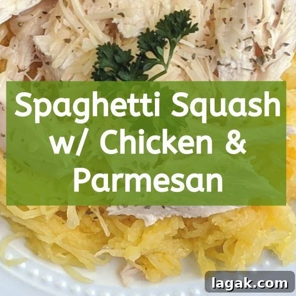 Spaghetti Squash with Chicken and Parmesan — Light Dinner Recipe 4 spaghetti squash low calorie recipe with chicken and parmesan thumbnail