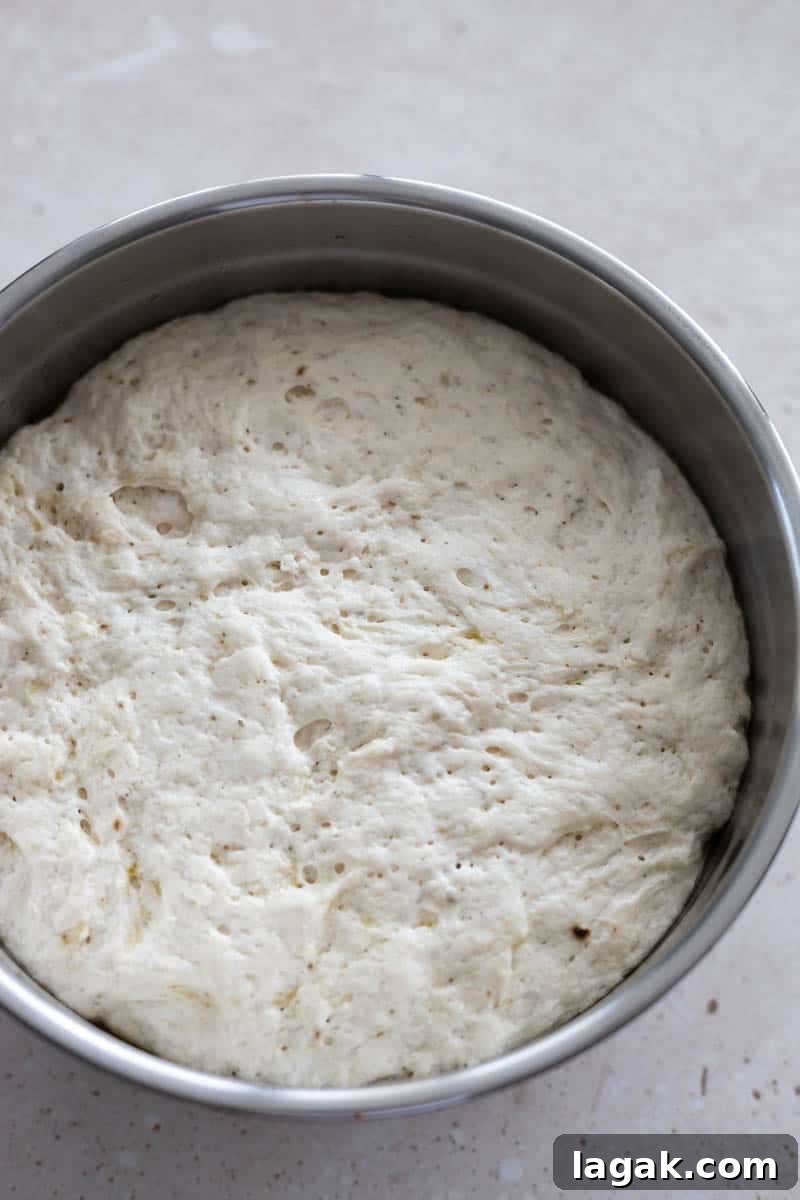 Black Pepper Focaccia Recipe: Crispy Crust & Aromatic Crumbs 4 Black pepper focaccia dough in a metal bowl after first rise.
