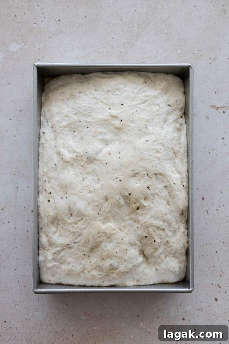 Black Pepper Focaccia Recipe: Crispy Crust & Aromatic Crumbs 6 Focaccia dough in the baking dish after the second rise, filling the pan and ready for dimpling.