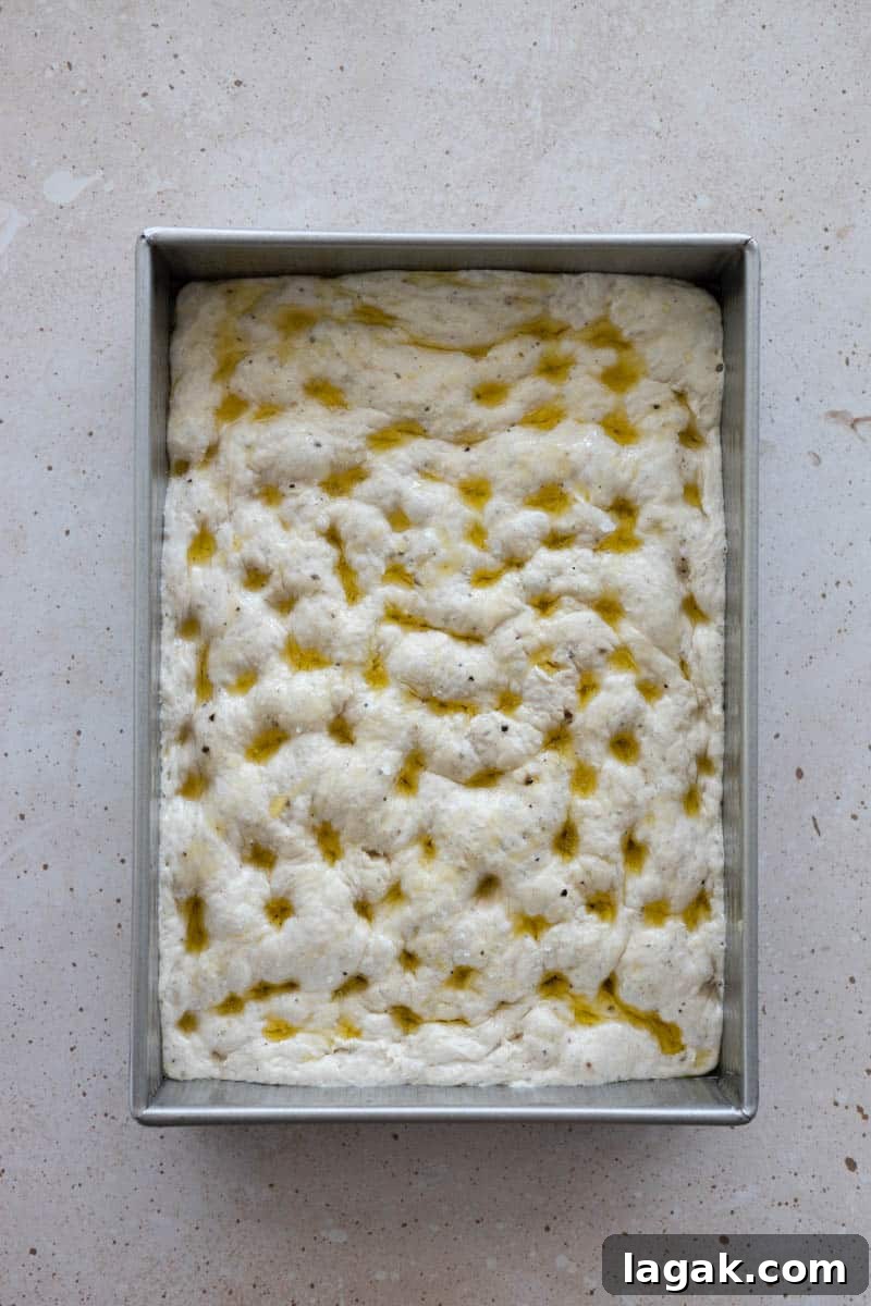 Black Pepper Focaccia Recipe: Crispy Crust & Aromatic Crumbs 7 Dimpled focaccia dough drizzled with olive oil and sea salt, ready to bake.