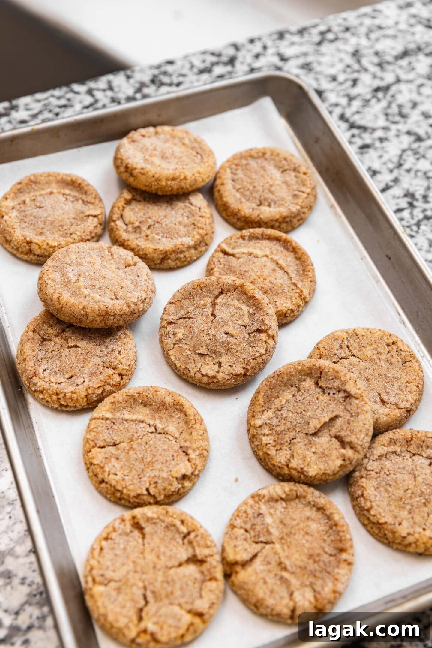Freshly baked extra-toasty brown butter sugar cookies (with milk powder) sitting on a baking tray on top of a kitchen counter.